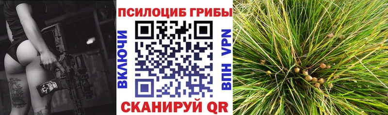 Псилоцибиновые грибы GOLDEN TEACHER Лахденпохья